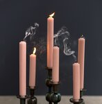 distelroos-Rustik-Lys-Dinerkaars-3,2x20-cm-Iced-apricot