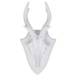 distelroos-Light-living-6924426-Wandornament-Gewei-wit-26