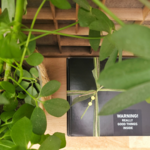 distelroos-Lemon-Crush-Wellness-cadeauset-L