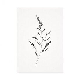 distelroos-Melisse-Kaart-Het-beemdgras