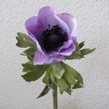 KD Home - Anemone Lavendel