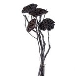 PTMD - Getrocknete Blumen schwarz