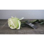 PTMD - Flower Imita White rose