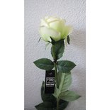 PTMD - Flower Imita White rose