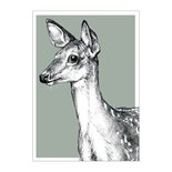 BDdesigns - Karte Wildlife Hirsch