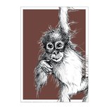 BDdesigns - Karte Wildlife Orang-Utan