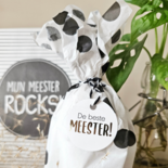 Kann nur an eine Adresse in NL oder BE versendet werden