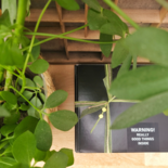 Lemon Crush – Culinaire cadeauset L
