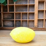 Lemon Crush – Geschenkset Just a little lemon