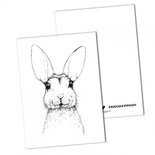 BDdesigns - Karte Hase