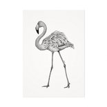 Mélisse - Karte Der rote Flamingo