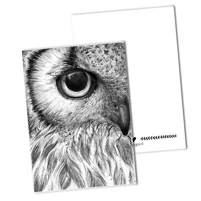 BDdesigns - Karte Eule