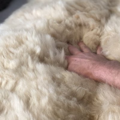 Inkari - Handgemacht Alpaka Teppich Reina Blond