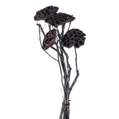 PTMD - Getrocknete Blumen schwarz