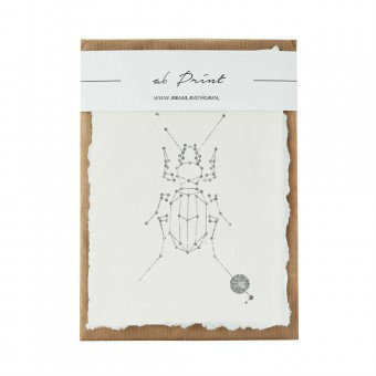 Animaal Amsterdam - Beetle print