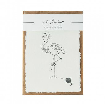 Animaal Amsterdam - Flamingo print