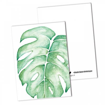 BDdesigns - Karte Monstera