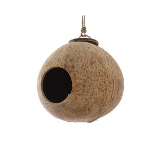 Vogelhäuschen Kokosnuss