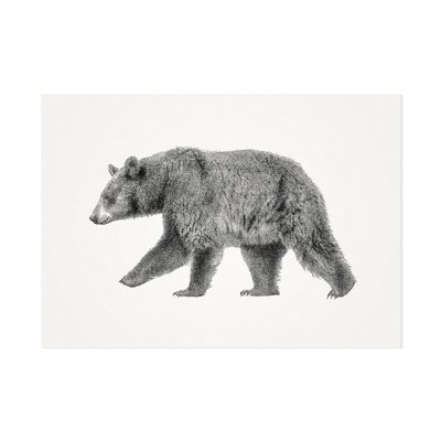 Mélisse - Karte Der Europäische Braunbär