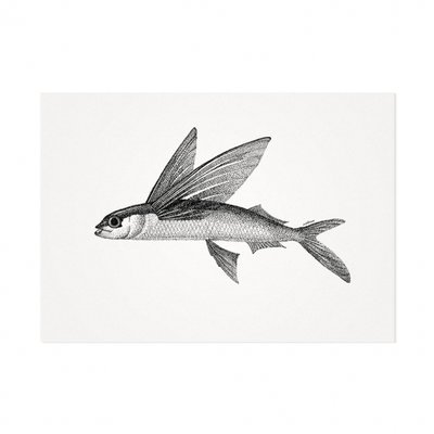 Mélisse - Karte Der Atlantische fliegende Fisch