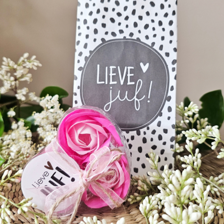 DistelRoos - Seifenblumen Cotton candy, 3er Set - Lieve juf